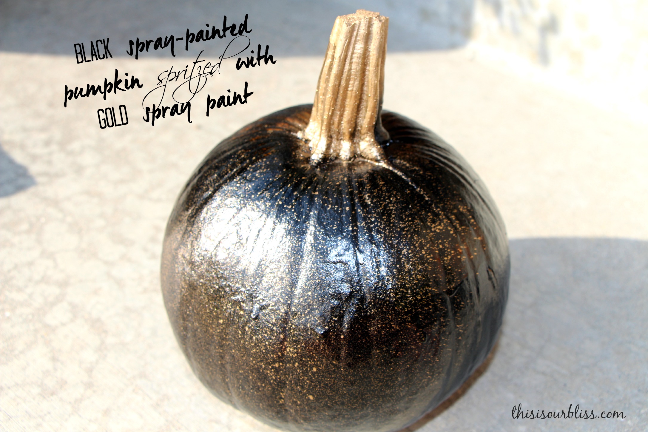 DIY painted pumpkins for the porch 1
