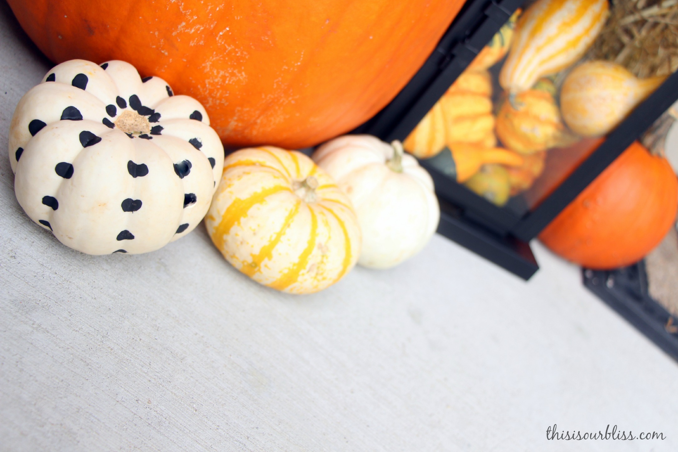 DIY painted pumpkins for the porch 4