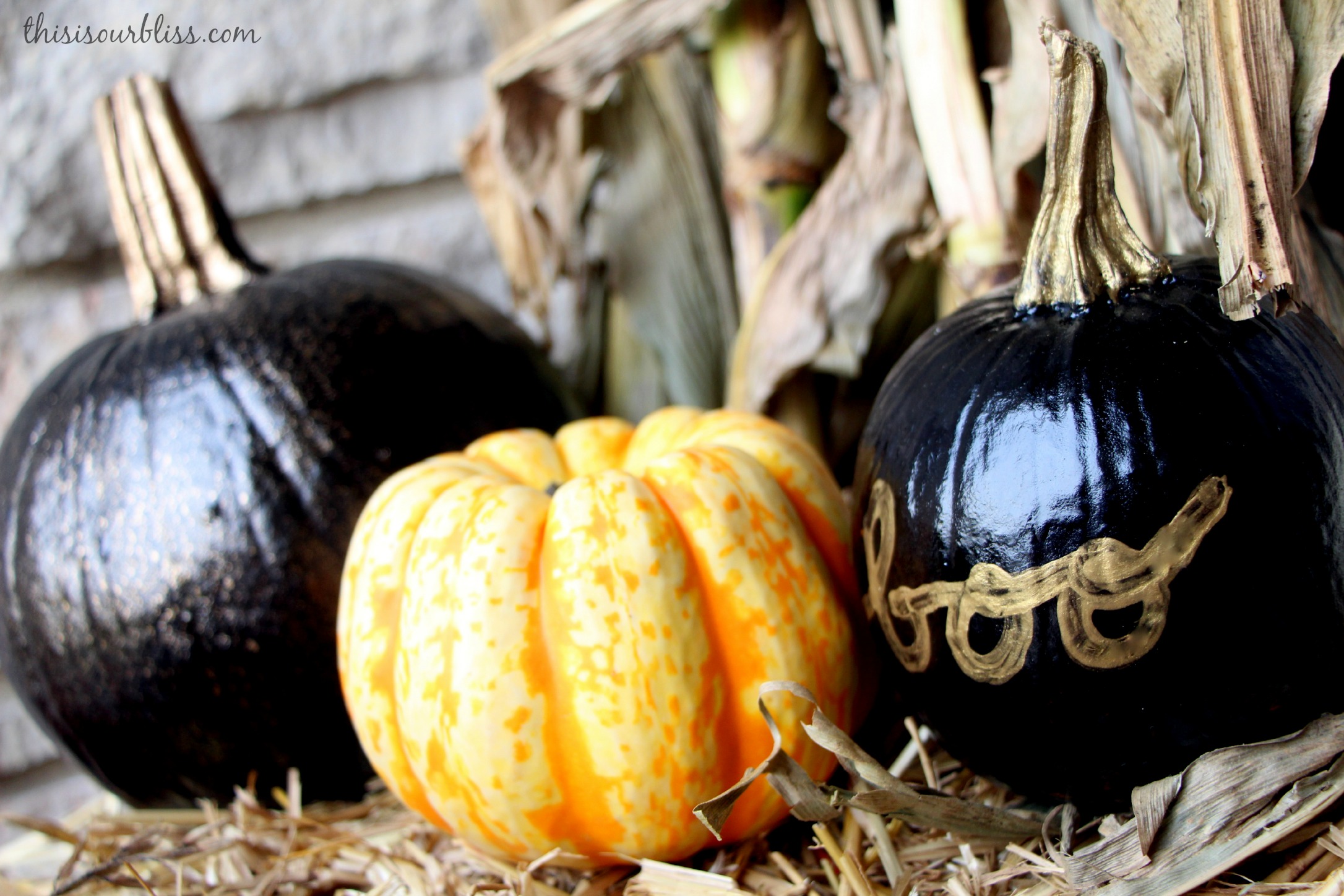 DIY painted pumpkins for the porch craft paint & spray paint