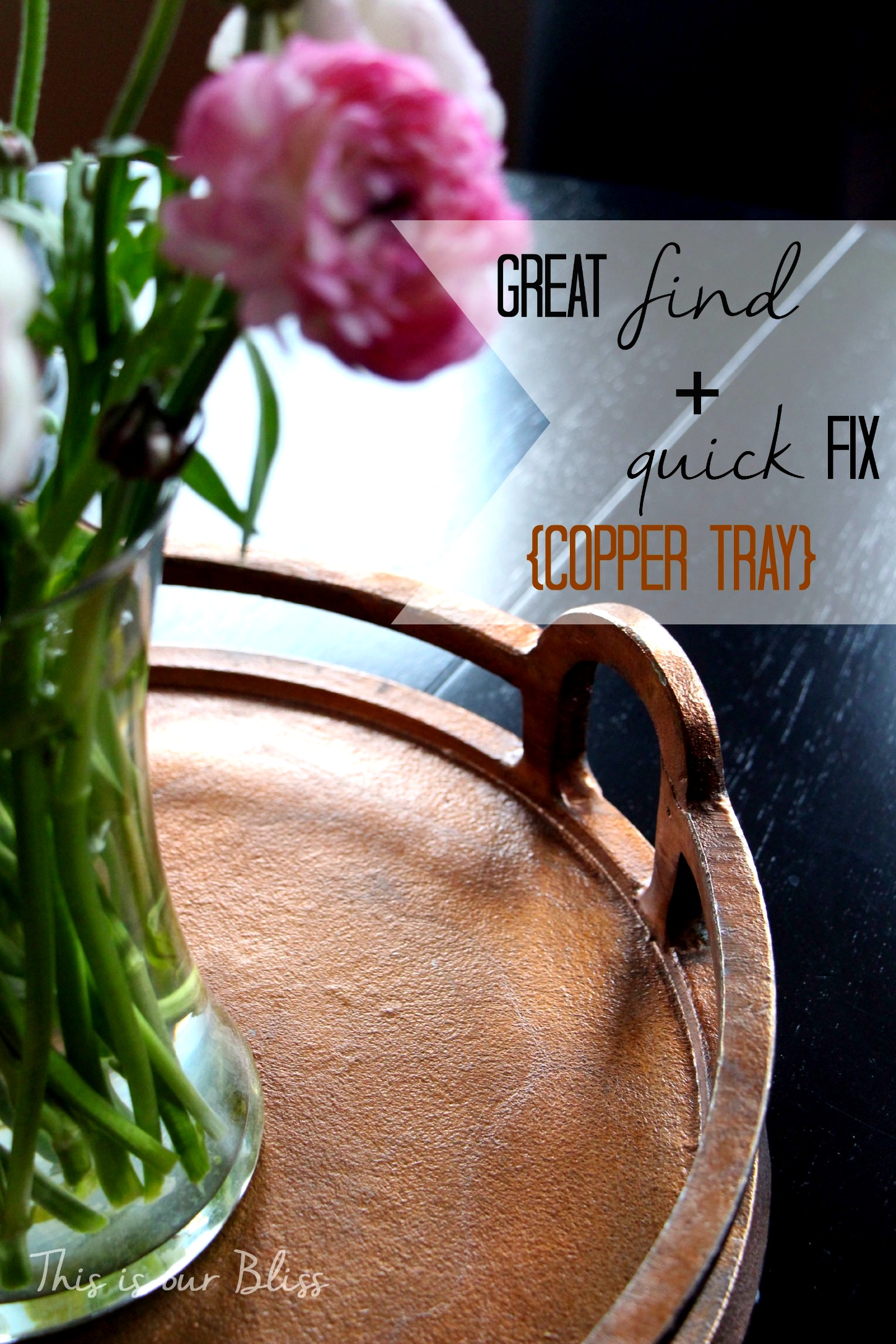 great find + quick fix copper tray - This is our Bliss
