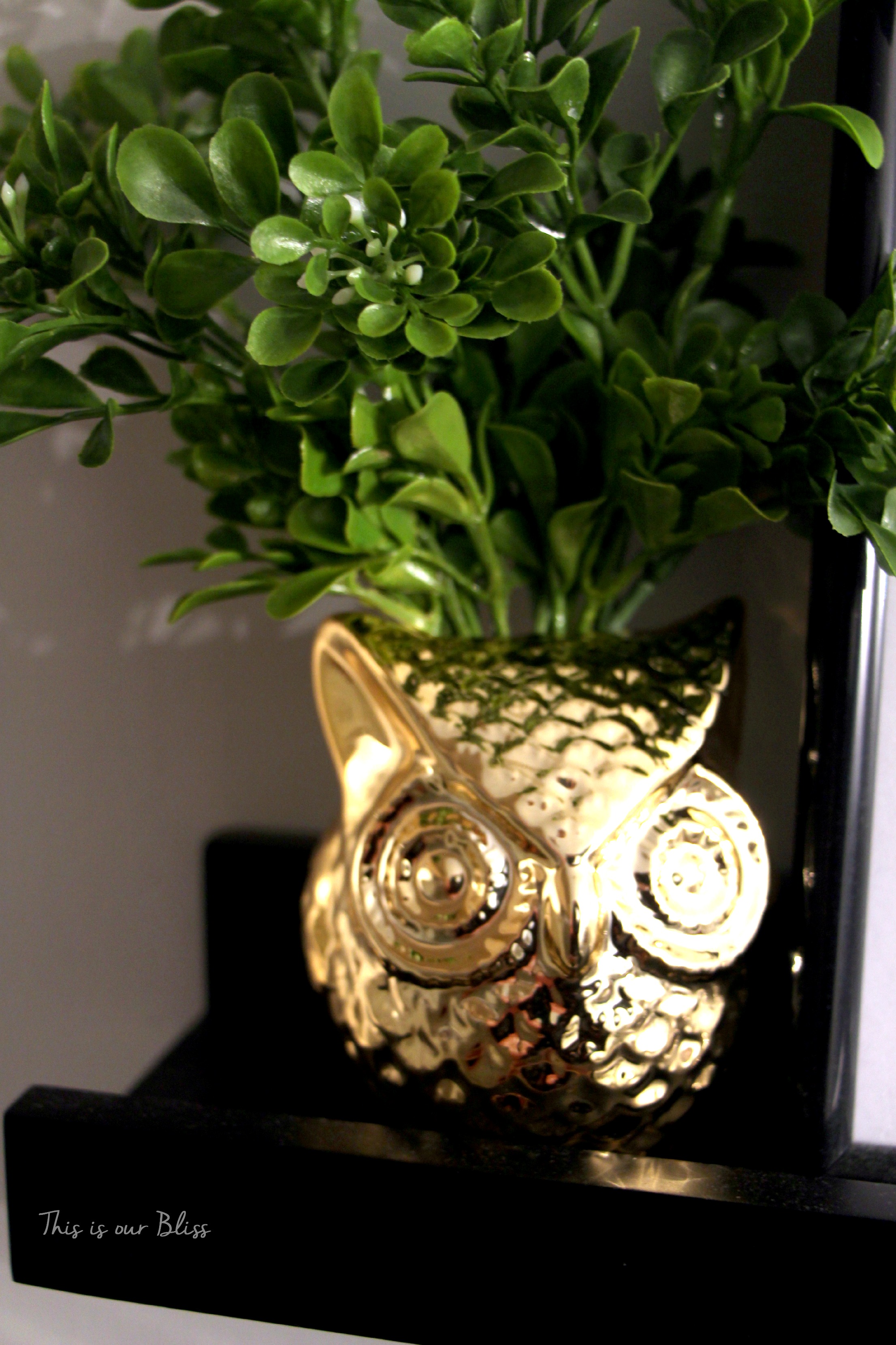brass owl planter - gold owl - bathroom update - bathroom decor - this is our bliss