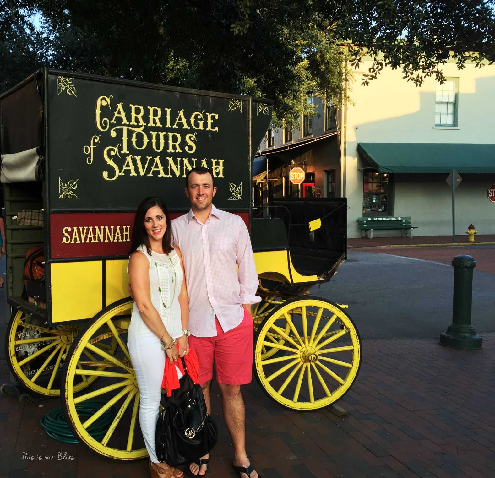 Carriage Tours of Savannah - sunset ride - This is our Bliss