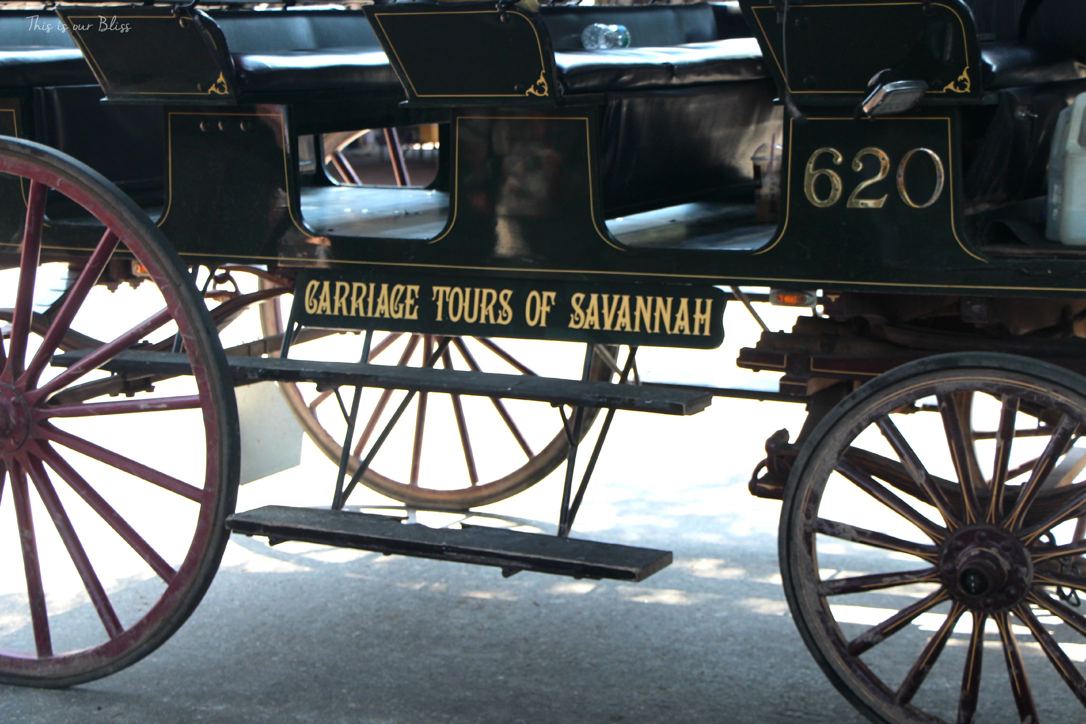 Carriage Tours of Savannah - This is our Bliss