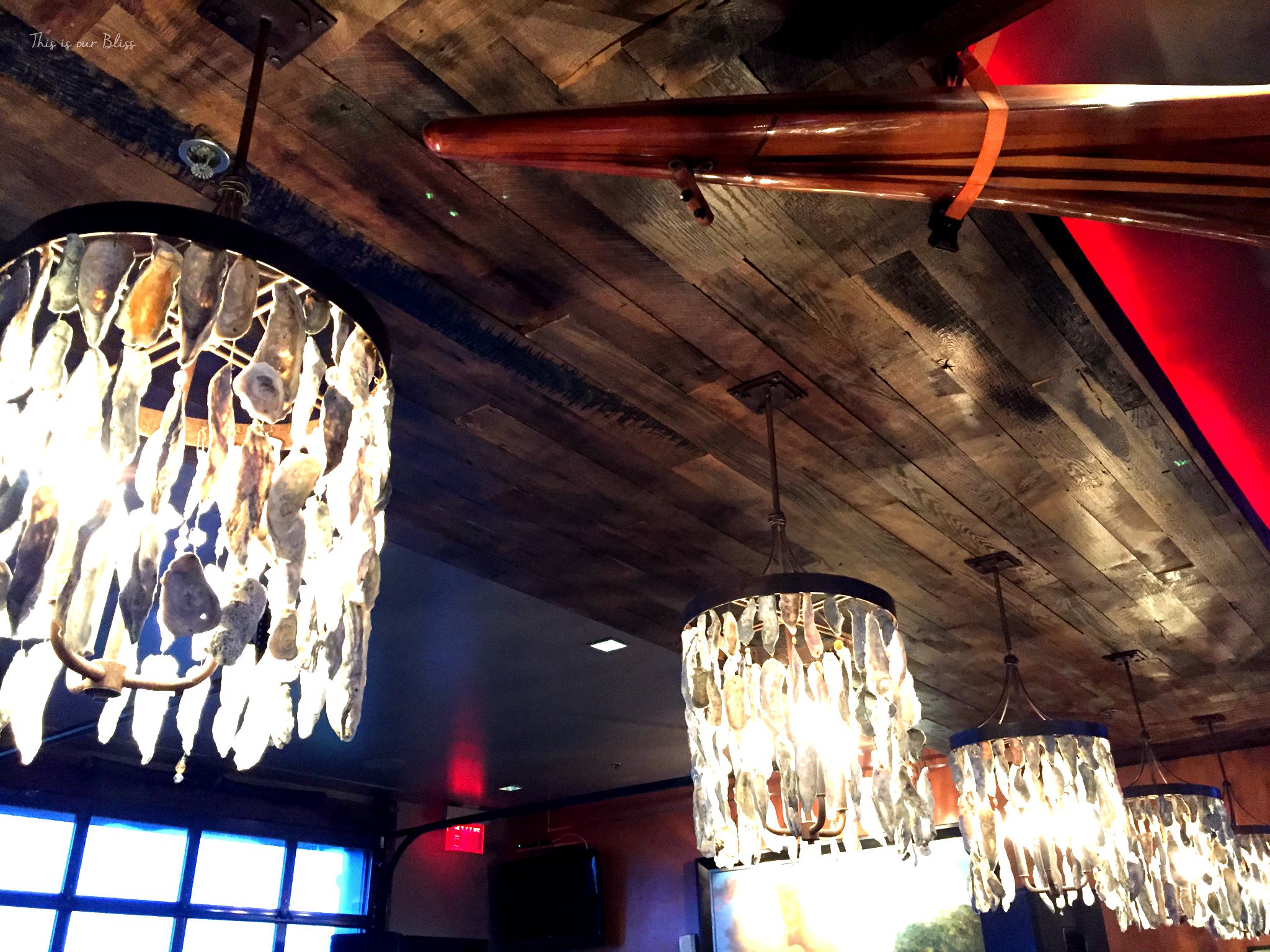 Rocks on the River - ceiling of bar - Savannah GA - This is our Bliss